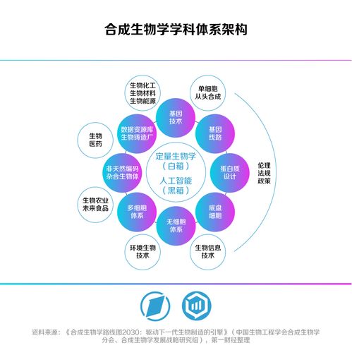 合生萬物，重塑未來 第一財經未來產業系列白皮書發布，合成生物引領企業財務咨詢新視野