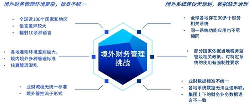 畢馬威引領(lǐng)企業(yè)全球化 海外財務(wù)共享落地實踐與財務(wù)咨詢服務(wù)洞察